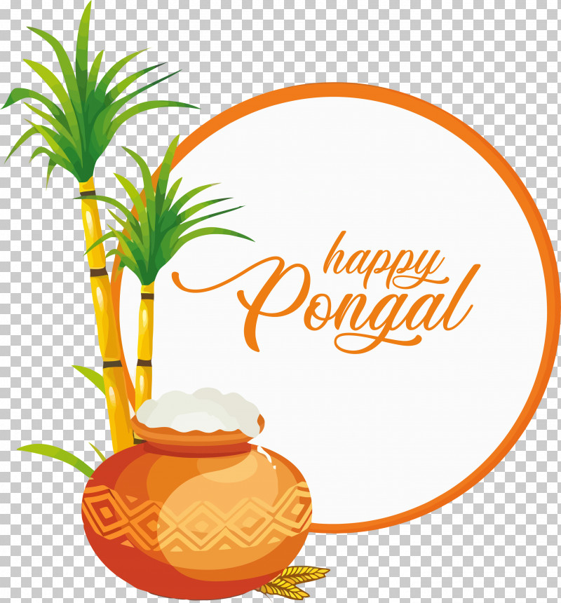 Pongal PNG, Clipart, Festival, Makar Sankranti, Pongal, Royaltyfree Free PNG Download