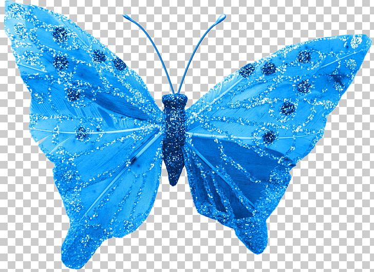Butterfly Insect Electric Blue Lycaenidae Moth PNG, Clipart, Aqua, Arthropod, Azure, Blue, Brush Footed Butterfly Free PNG Download
