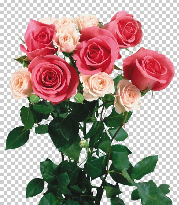 Desktop Flower Drawing Portable Network Graphics PNG, Clipart, Annual Plant, Artificial Flower, Cut Flowers, Desktop Wallpaper, Download Free PNG Download