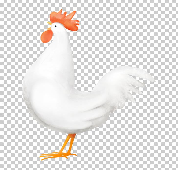 Rooster Chicken Goose Cygnini Water Bird PNG, Clipart, Animals, Beak, Bird, Chicken, Chicken As Food Free PNG Download