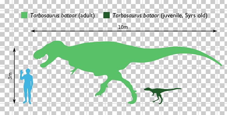 Tarbosaurus Daspletosaurus Albertosaurus Argentinosaurus Ceratosaurus PNG, Clipart, 164 Scale, Albertosaurus, Angle, Area, Argentinosaurus Free PNG Download