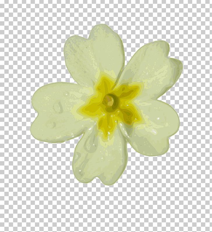 White Flower PNG, Clipart, Clip Art, Color, Computer Icons, Desktop Wallpaper, Drawing Free PNG Download