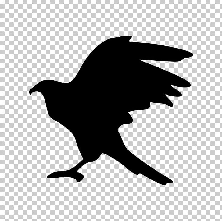 AutoCAD DXF PNG, Clipart, Antivenom, Autocad Dxf, Beak, Bird, Black Free PNG Download