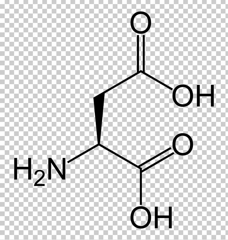 Monomer Nucleic Acid Aspartic Acid Amino Acid PNG, Clipart, Acid, Amino, Amino Acid, Angle, Area Free PNG Download