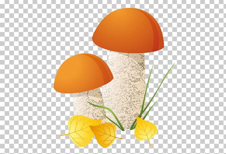 Mushroom Shiitake Cartoon PNG, Clipart, Balloon Cartoon, Boy Cartoon, Brown, Cartoon, Cartoon Cartoon Free PNG Download