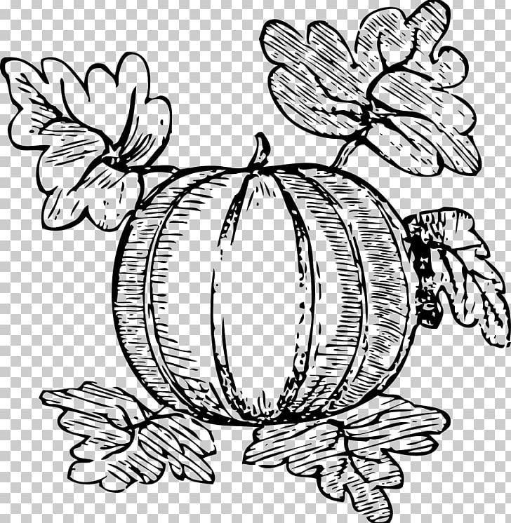 Watermelon PNG, Clipart, Artwork, Black And White, Butterfly, Flora, Floral Design Free PNG Download