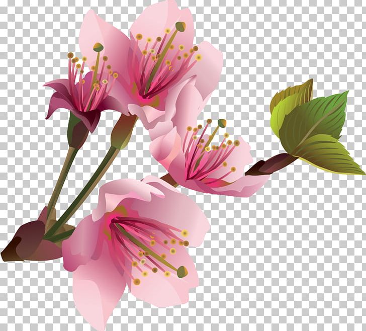 Flower Desktop PNG, Clipart, Alstroemeriaceae, Blossom, Cherry Blossom, Cut Flowers, Desktop Wallpaper Free PNG Download