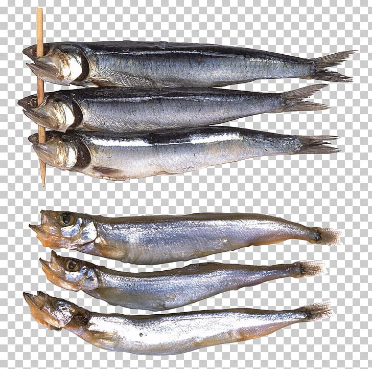 Sardine Freshwater Fish Scortum Barcoo Bass PNG, Clipart, Anchovies As Food, Animals, Animal Source Foods, Fish Products, Fresh Water Free PNG Download