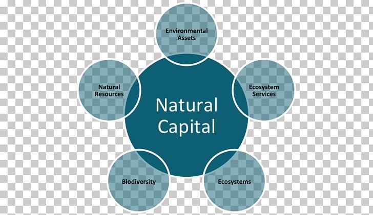 Natural Capital Mattress Nature K. D. Supply Chain Solutions Private Limited Organization PNG, Clipart, Biodiversity, Brand, Business, Circle, Communication Free PNG Download