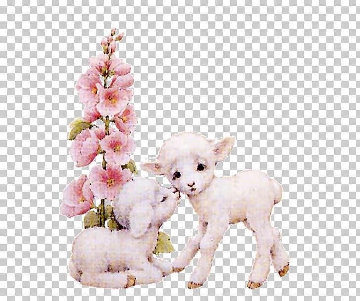 Cat Dog Puppy Mammal Pet PNG, Clipart, Animal, Animals, Breed, Canidae, Carnivora Free PNG Download