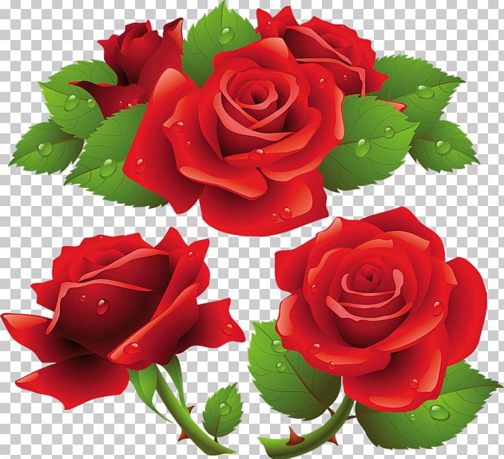 Rose PNG, Clipart, Beautiful Rose, China Rose, Cut Flowers, Encapsulated Postscript, Floral Design Free PNG Download