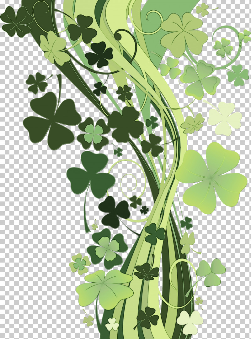 Leaf Green Plant Flower Tree PNG, Clipart, Clover, Flower, Green, Leaf, Moringa Free PNG Download