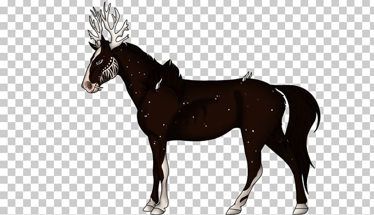 American Quarter Horse Standing Horse Equestrian PNG, Clipart, Bit, Bridle, Chestnut, Colt, Deer Free PNG Download
