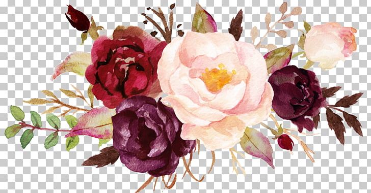 Cabbage Rose Garden Roses Peony Cut Flowers Floral Design PNG, Clipart, Cabbage Rose, Flora, Flores, Floristry, Flower Free PNG Download