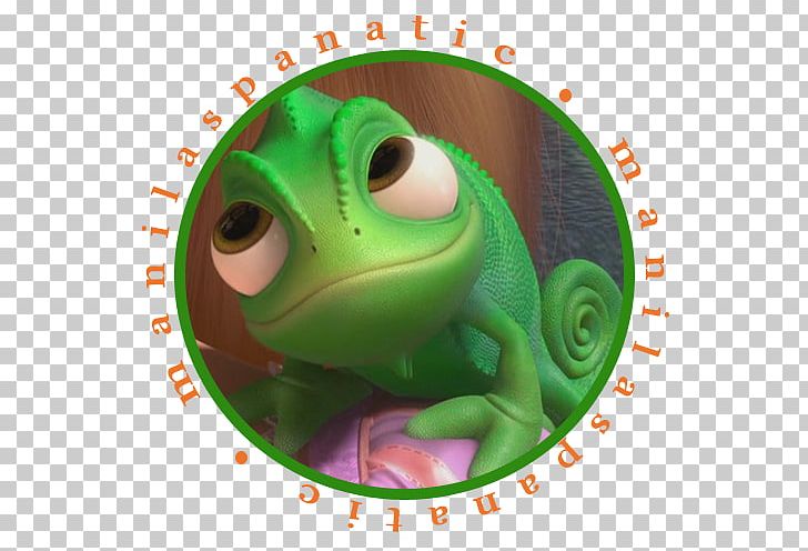 Rapunzel YouTube Chameleons Tangled: The Video Game Flynn Rider PNG, Clipart, Amphibian, Chameleons, Disney Princess, Flynn Rider, Frog Free PNG Download