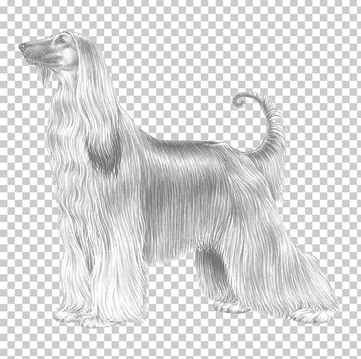 Afghan Hound Scottish Deerhound Tibetan Terrier Bearded Collie Basset Hound PNG, Clipart, Afghan Hound, Animal, Basset Hound, Bearded Collie, Black And White Free PNG Download