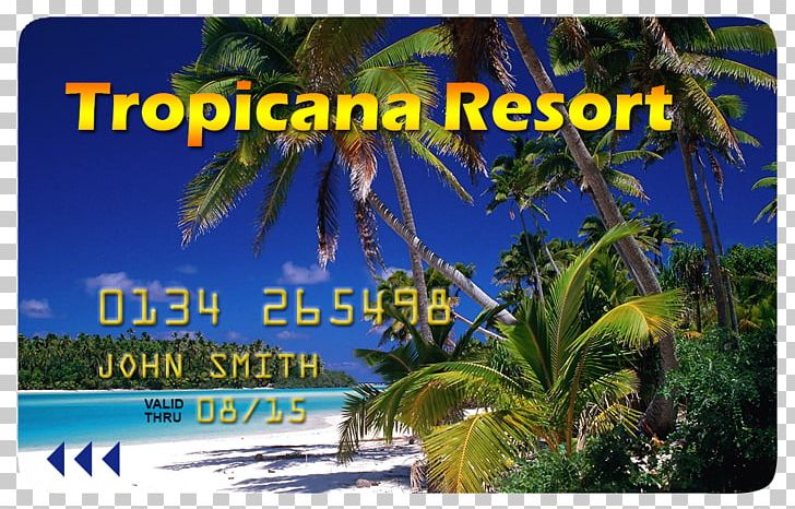 Arecaceae Desktop Beach Photography PNG, Clipart, Advertising, Arecaceae, Arecales, Beach, Caribbean Free PNG Download