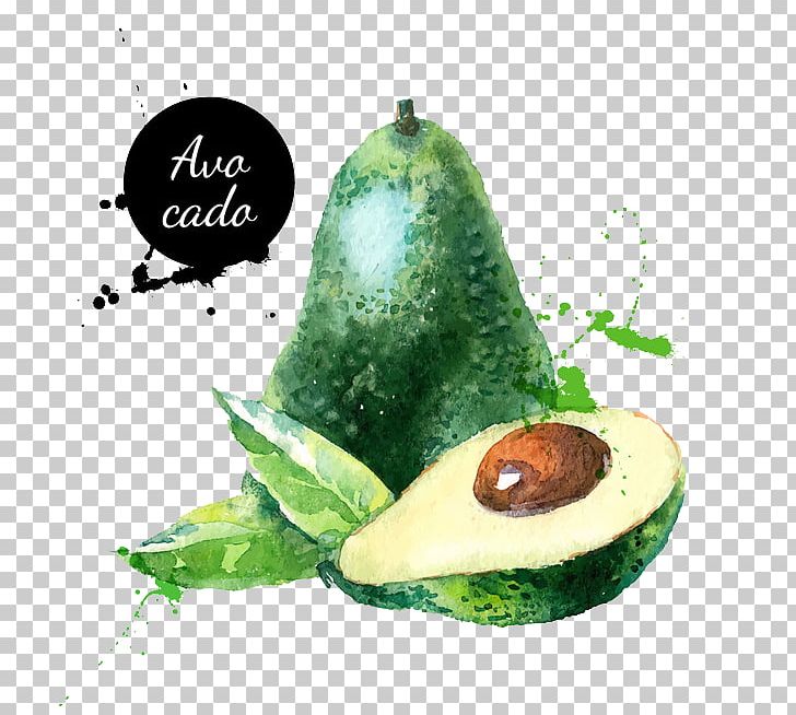 Avocado Watercolor Painting Fruit Illustration PNG, Clipart, Avocado Juice, Avocado Oil Seed, Avocados, Avocado Smoothie, Avocado Toast Free PNG Download
