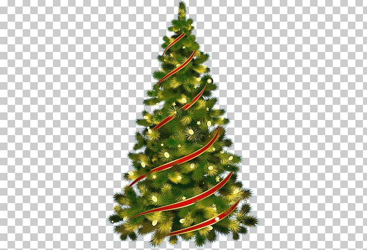 Christmas Tree Christmas Ornament PNG, Clipart, Christmas, Christmas Decoration, Conifer, Decor, Donna Free PNG Download