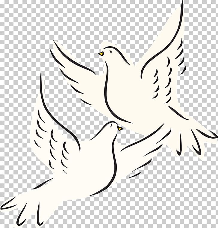 Columbidae Open Drawing PNG, Clipart, Beak, Bird, Black, Black And White, Branch Free PNG Download