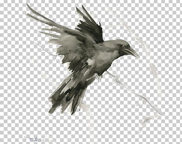 Common Raven Bird Tattoo Drawing Art PNG, Clipart, Animals, Art, Artist, Beak, Bird Free PNG Download