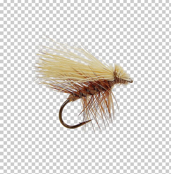 Elk Hair Caddis Artificial Fly Caddisfly Fly Fishing PNG, Clipart, Angling, Animals, Artificial Fly, Body, Caddisfly Free PNG Download