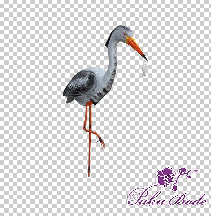 Stork Crane Bird Beak PNG, Clipart, Animals, Beak, Bird, Ciconiiformes, Crane Free PNG Download