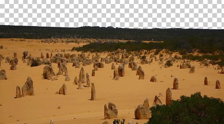 The Pinnacles Perth Nambung National Park Palau Tourist Attraction PNG, Clipart, Attractions, Australia Flag, Australia Map, Australia Pinnacles, Biome Free PNG Download