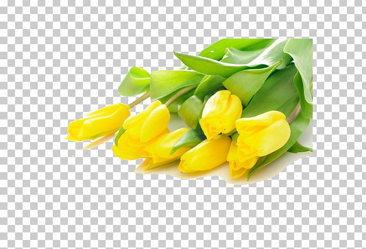 Tulip Flower Bouquet Yellow Stock.xchng PNG, Clipart, Artificial Flower, Blue, Bouquet, Color, Cut Flowers Free PNG Download