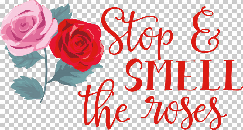 Rose Stop And Smell The Roses PNG, Clipart, Cut Flowers, Floral Design, Garden, Garden Roses, Greeting Free PNG Download