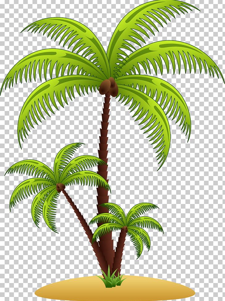 Arecaceae Tree PNG, Clipart, Arecaceae, Arecales, Coconut, Curve, Date Palm Free PNG Download