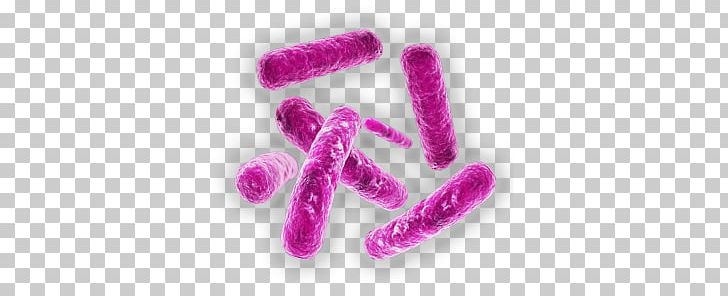 Bacteria PNG, Clipart, Bacteria Free PNG Download