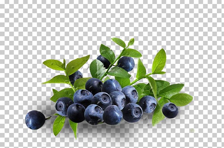 Dietary Supplement Eye Zeaxanthin Lutein Antioxidant PNG, Clipart, Aristotelia Chilensis, Berry, Betacarotene, Bilberry, Blueberries Free PNG Download