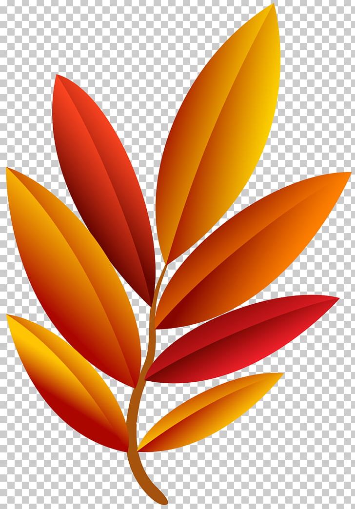 Leaf PNG, Clipart, Bitmap, Data Compression, Flac, Flower, Image File Formats Free PNG Download