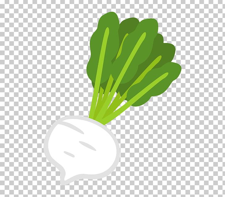 Leaf Vegetable Turnip PNG, Clipart, Cabbage, Cake, Daikon, Download, Food Free PNG Download