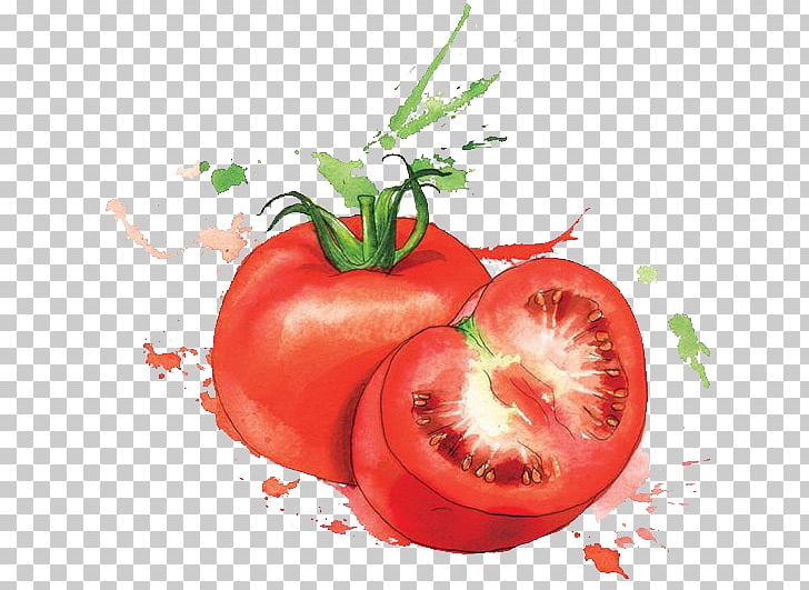 Watercolor Painting Food Art Illustration PNG, Clipart, Cartoon, Fruit, Hand, Illustrator, Literature Free PNG Download