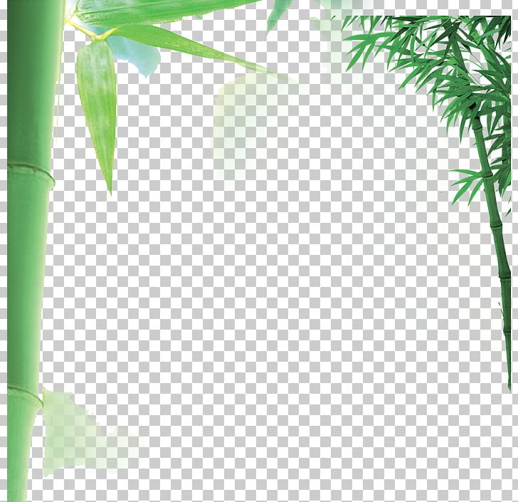 Bamboo PNG, Clipart, Adobe Illustrator, Angle, Bambo, Border Frame, Certificate Border Free PNG Download