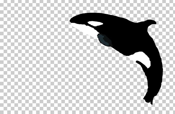 Canidae Dog Marine Mammal Silhouette PNG, Clipart, Animals, Beak, Black, Black And White, Black M Free PNG Download