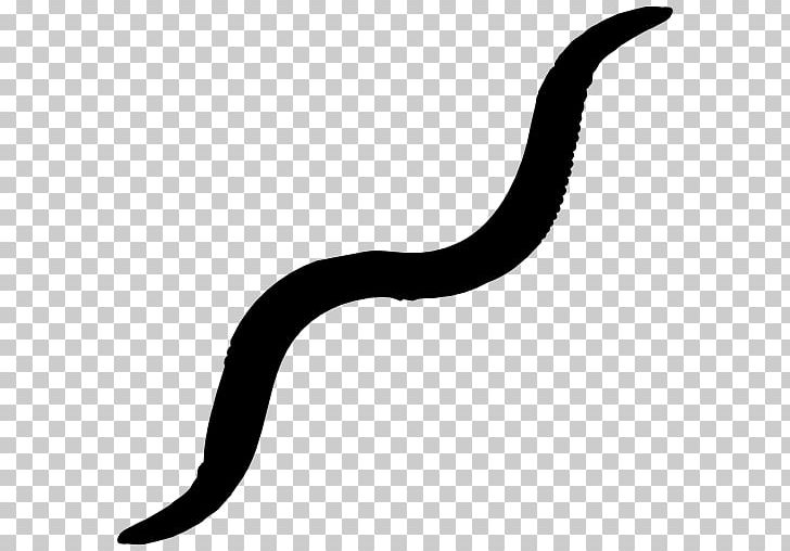 Earthworm Computer Icons PNG, Clipart,  Free PNG Download