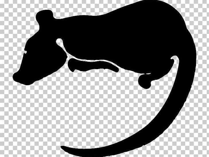 Laboratory Rat Chinese Zodiac Rodent PNG, Clipart, Animals, Animal Silhouettes, Astrological Sign, Black, Black Rat Free PNG Download