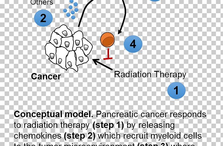 Radiation Therapy Perelman School Of Medicine Radiation Oncologist Pancreatic Cancer PNG, Clipart, Angle, Area, Blue, Cell, Communication Free PNG Download