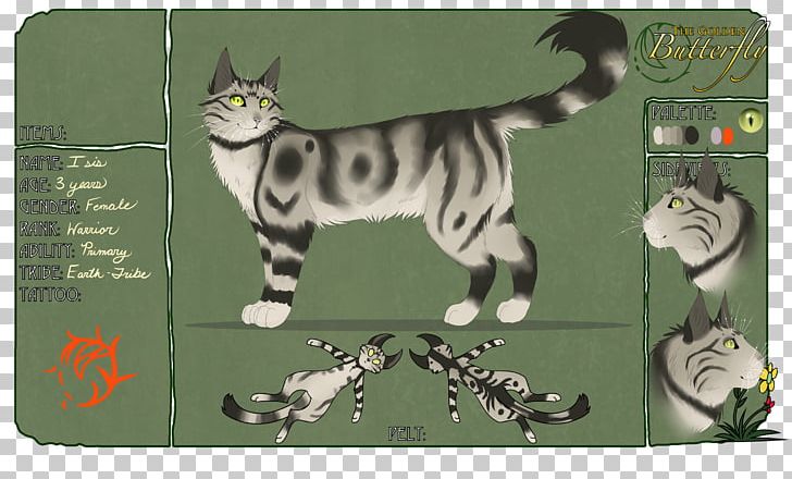 Whiskers Kitten Tabby Cat PNG, Clipart, Animals, Carnivoran, Cartoon, Cat, Cat Like Mammal Free PNG Download