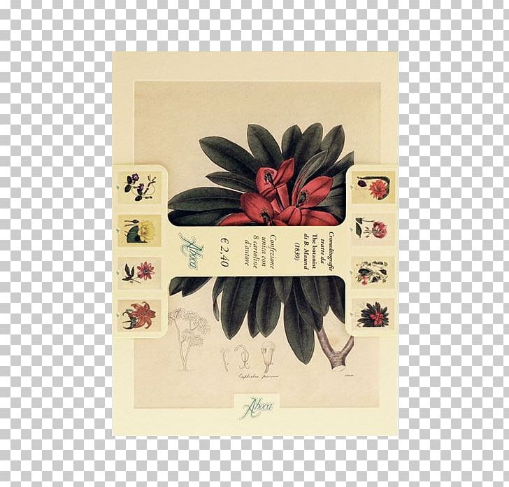 Aboca Museum Botany Botanist Flower Botanical Illustration PNG, Clipart, Aboca Museum, Benjamin Maund, Botanical Illustration, Botanist, Botany Free PNG Download