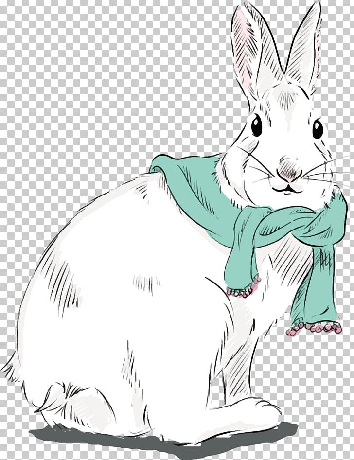 Domestic Rabbit Hare Whiskers Illustration PNG, Clipart, Animals, Art, Carnivoran, Cat Like Mammal, Dog Like Mammal Free PNG Download