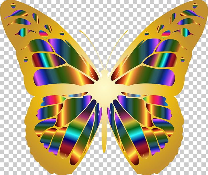 Monarch Butterfly Insect PNG, Clipart, Animal Coloration, Arthropod, Brush Footed Butterfly, Butterfly, Clip Art Free PNG Download