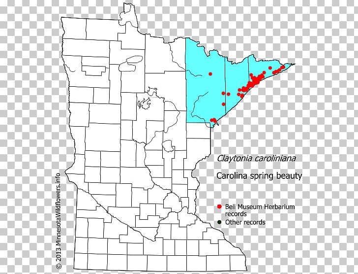 Murray County PNG, Clipart, Angle, Area, County, Diagram, Fillmore County Minnesota Free PNG Download