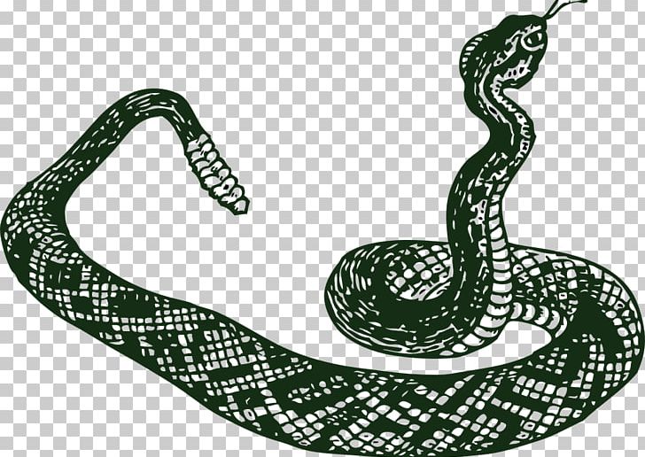 Rattlesnake Vipers PNG, Clipart, Anaconda, Animals, Boa Constrictor, Boas, Drawing Free PNG Download