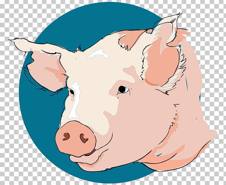 Wild Boar PNG, Clipart, Artwork, Computer Icons, Drawing, Head, Livestock Free PNG Download