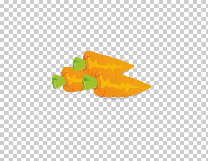 Carrot Soup Vegetable Euclidean PNG, Clipart, Bunch Of Carrots, Carrot, Carrot Cartoon, Carrot Juice, Carrots Free PNG Download