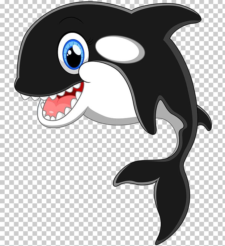 Cartoon Killer Whale PNG, Clipart, Animals, Background Black, Beak, Black, Black Board Free PNG Download
